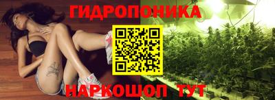 прущие грибы Ливны